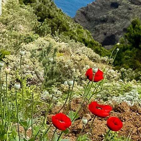 The Poppies Guest House - 100M Ocean - Private Spaces Candelaria Exterior foto
