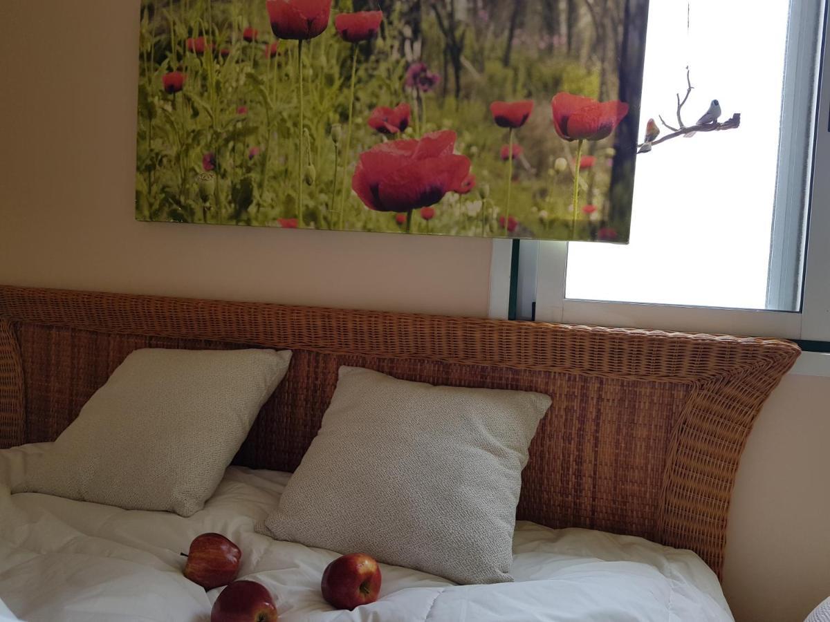 The Poppies Guest House - 100M Ocean - Private Spaces Candelaria Exterior foto