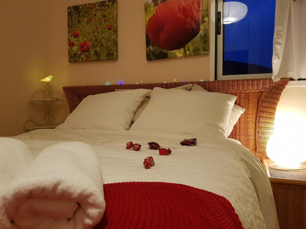 The Poppies Guest House - 100M Ocean - Private Spaces Candelaria Exterior foto